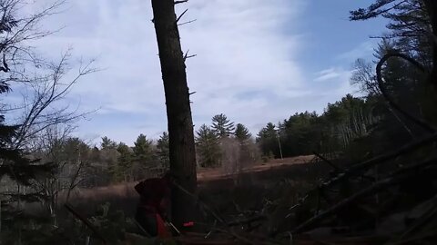 Dropping sticks