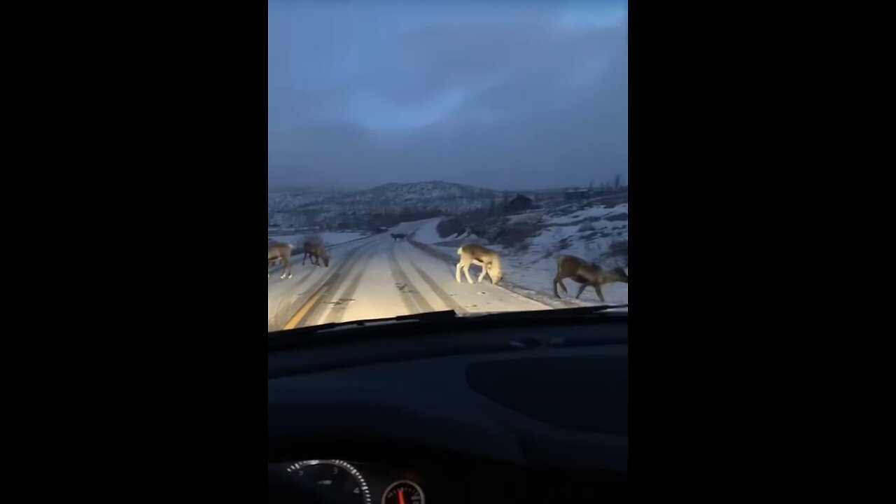 I have a feeling we are near Santa’s hideout..