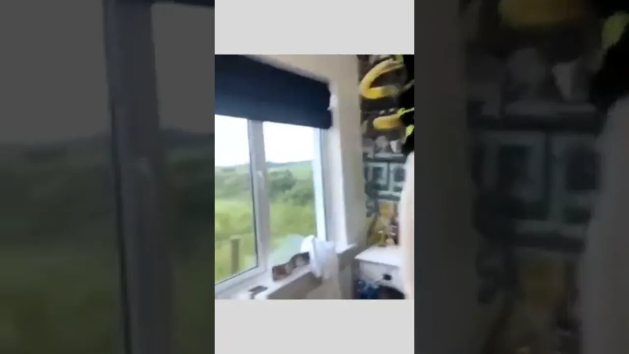 Amazing audience🙂