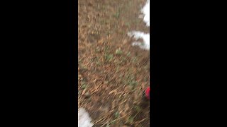 Uncle Steve’s scavenger hunts