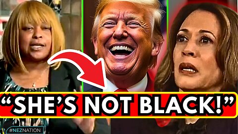 🚨WATCH What Black Voters Are Saying About Kamala Harris & the Democrats!