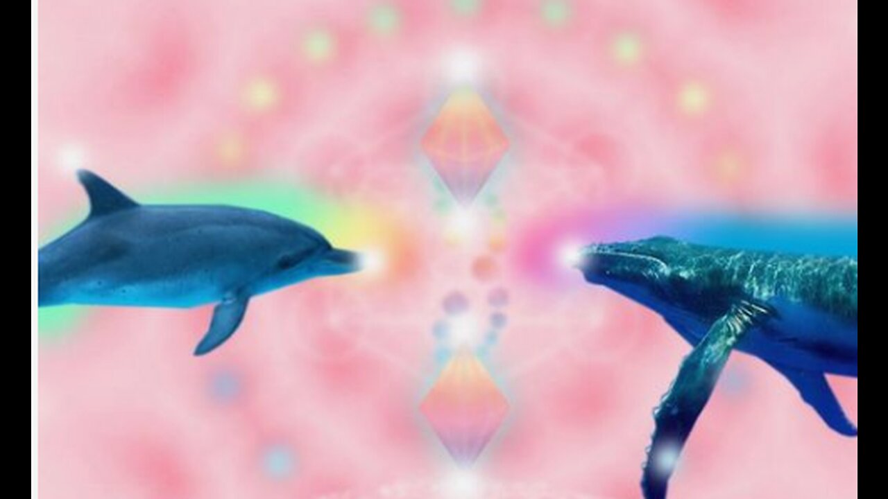 THE HEALING FREQUENCY OF DOLPHINS AND WHALES🐋💙🐳💙