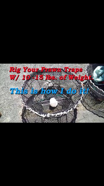How I Rig my prawn traps with weights. West Coast Prawn Trapping Prep.