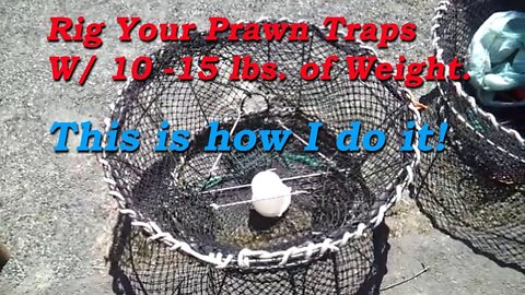 How I Rig my prawn traps with weights. West Coast Prawn Trapping Prep.