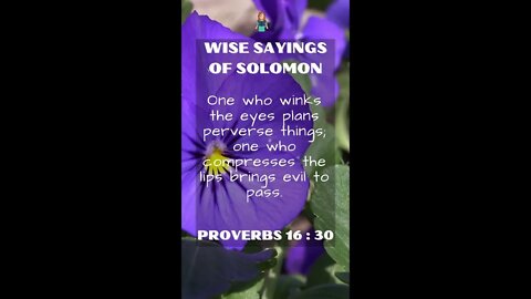 Proverbs 16:30 | NRSV Bible | Wise Sayings of Solomon