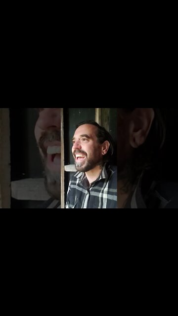 You Never Read The Koran