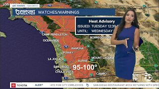 ABC 10News PinPoint Weather With Meteorologist Angelica Campos