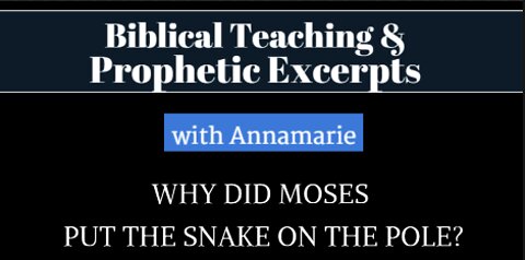 Why Did Moses Put The Snake On The Pole? Biblical Teaching and Prophetic Excerpts with Annamarie