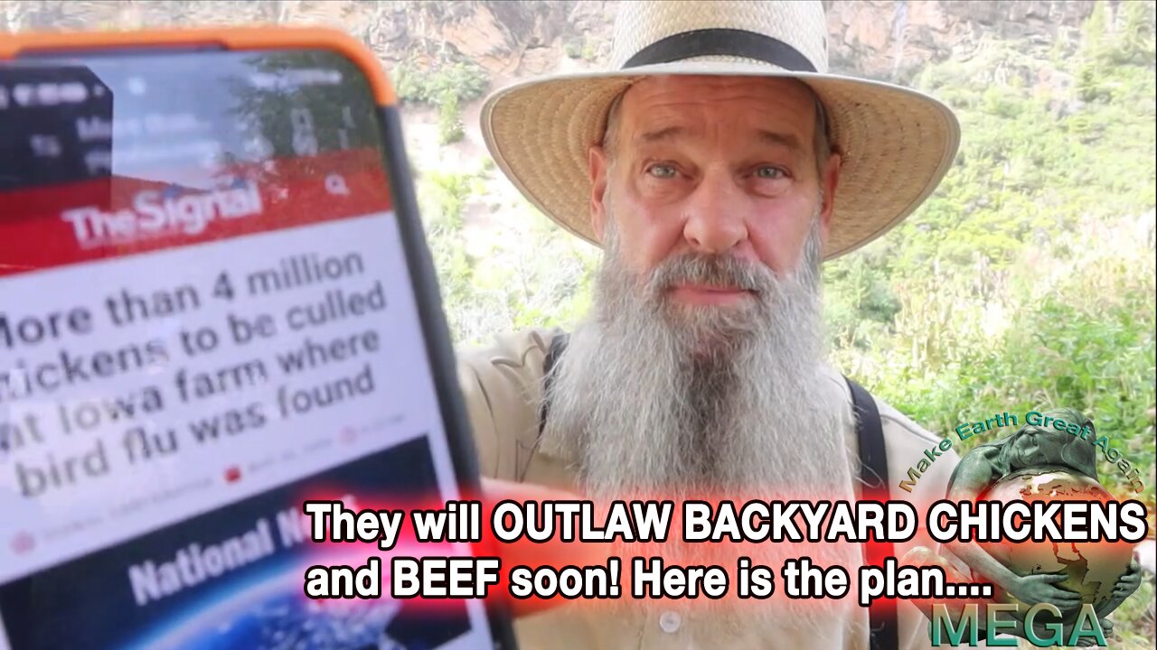 They will OUTLAW BACKYARD CHICKENS and BEEF soon! Here is the plan....