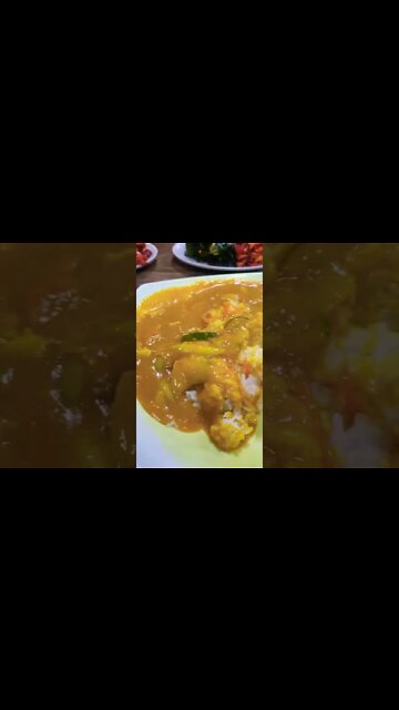 #shorts #hungry #cooking Korean style Curry with rice and Egg roll(Kim-bob)