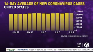 New omicron subvariant fuels COVID surge