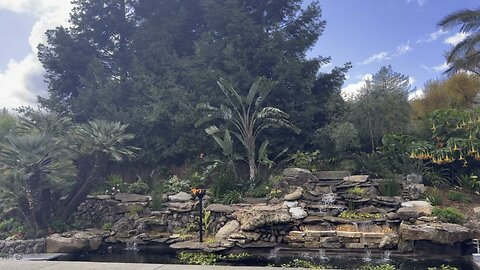 Tropical feeling landscape in northern ca. fire waterfall