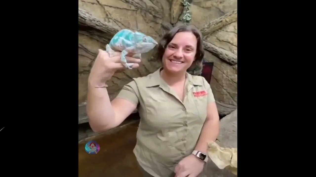 Try Not To Laugh Funny Videos 2022Best Funny Videos Compilation