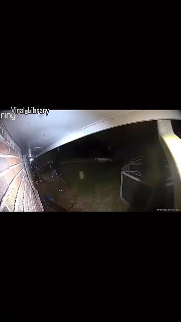 Boyfriend shoots girlfriend argument 🙏🏽🥺