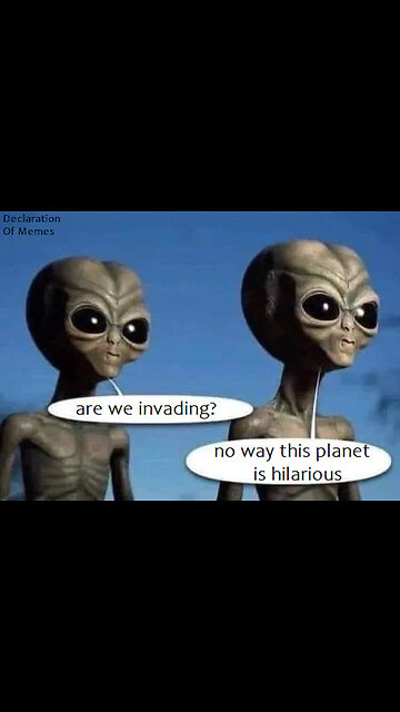 MEME LIFE 21 | TUkEk.art.shorts | 'Little Bells' by Diego Nava