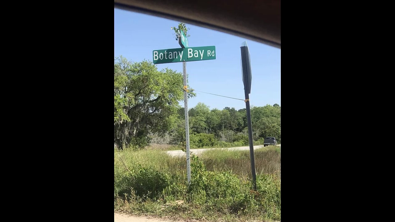 Botany Bay, Edisto beach SC