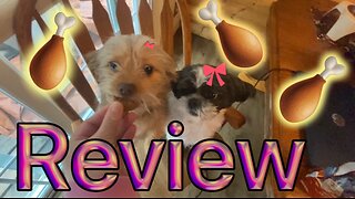 Dogs Review Blue Wilderness Turkey Recipe High Protein Biscuit Dog Treats