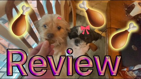 Dogs Review Blue Wilderness Turkey Recipe High Protein Biscuit Dog Treats