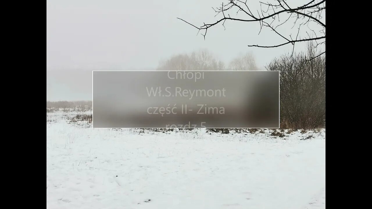 Chłopi - Wł.S.Reymont część II - Zima rozdz.5