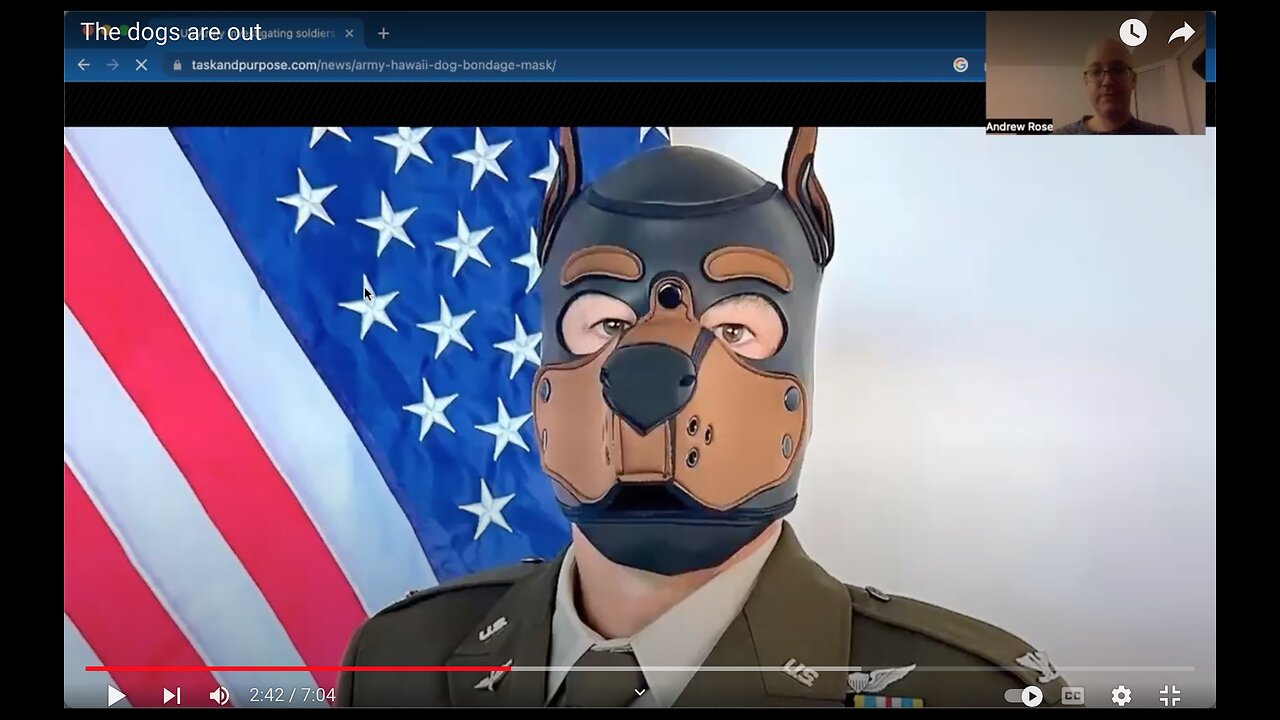 The Dogs Are Out