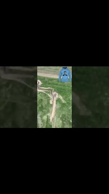 Breaking News (War-Related). **Warning** **Graphic Content** Viewer Discretion Advised 18+ #shorts