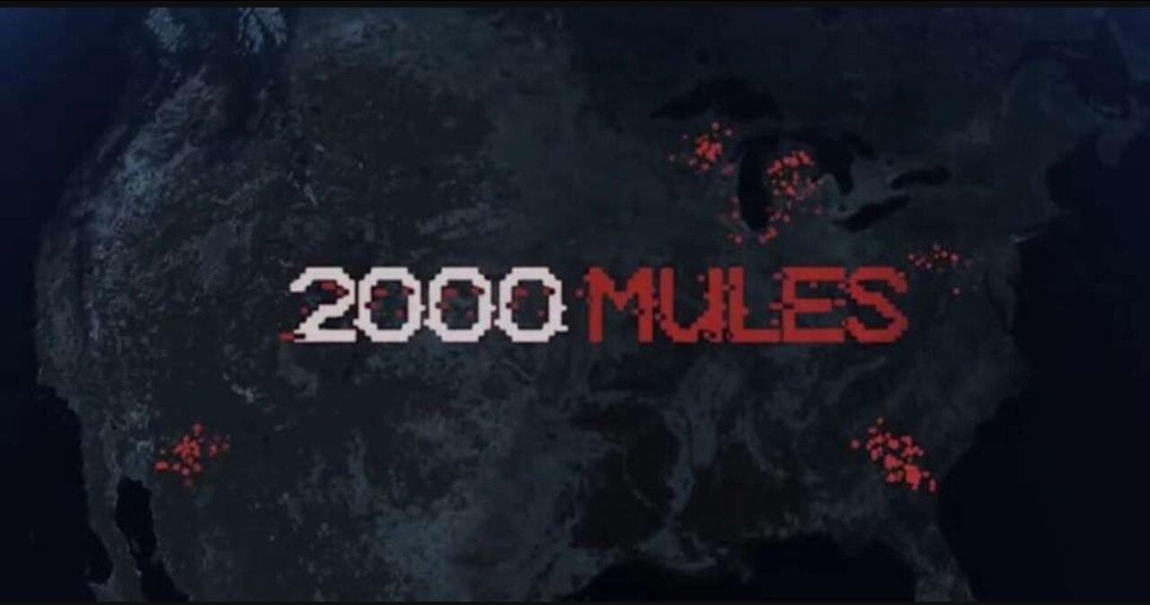 2000 Mules