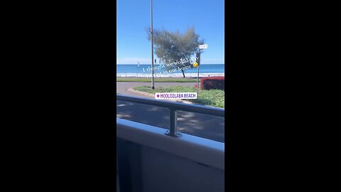 Aqua Duck 🦆 Mooloolaba tour bus/ boat