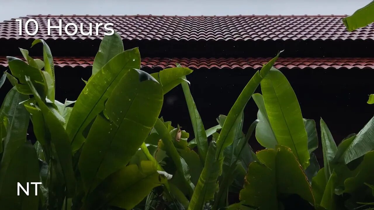 Gentle Tropical Rainfall: Calming Rain Sounds for Sleep, Stress Relief & Relaxation - White Noise