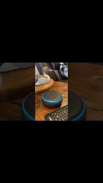 Rainbow Currency ISN'T a conspiracy