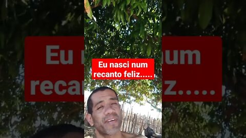 eu nasci num recanto feliz