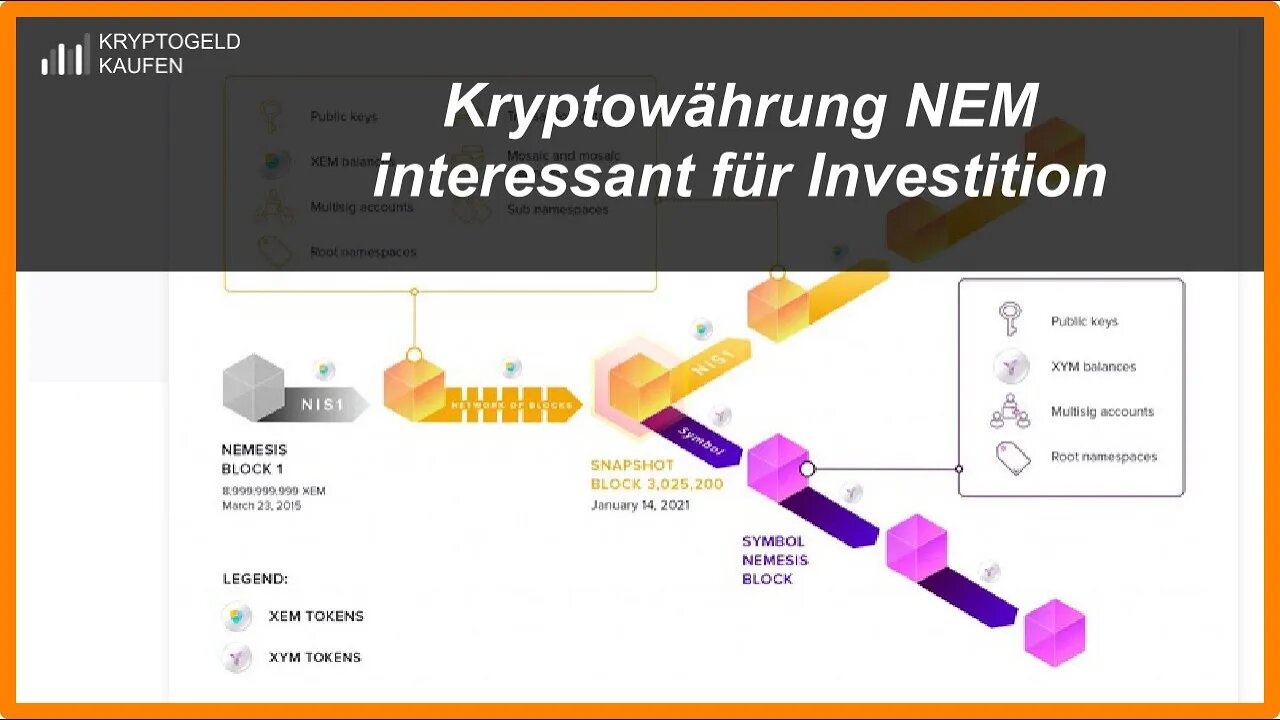 Kryptowährung NEM jetzt interessant für Investition