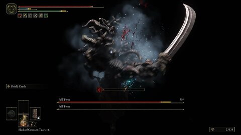 Elden Ring SHIELD RUN | Fell Twins