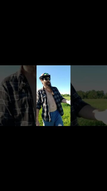 oh, High Bud #ohhighbud #strangedanimal