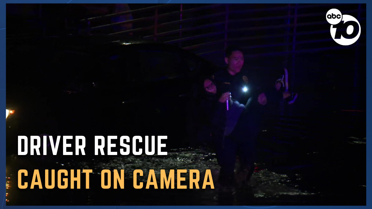 Driver rescued after car gets stuck in standing water
