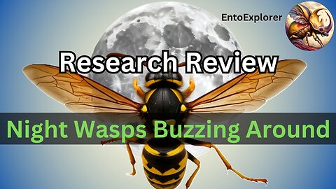 Research Review - Nocturnal Wasps in South Korea