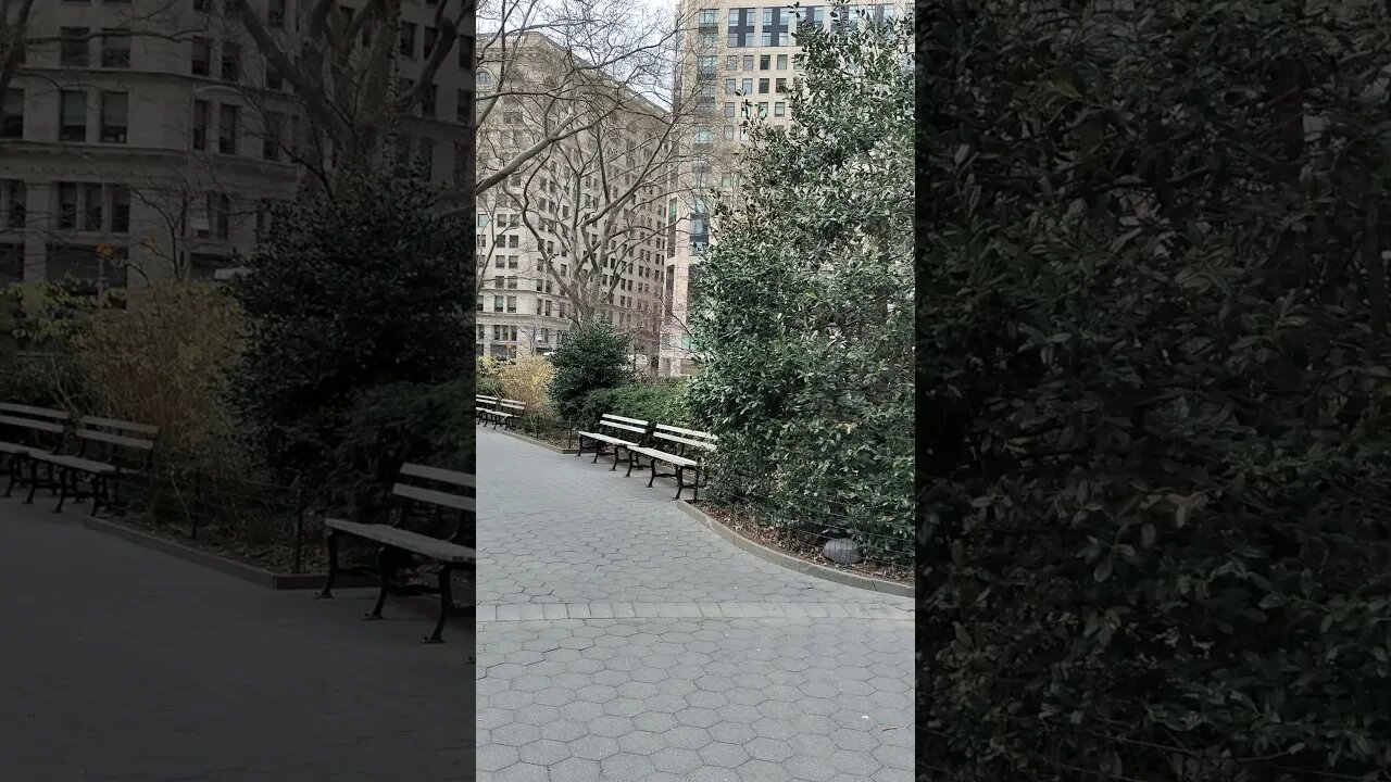 Madison Square Park in New York City 2021.