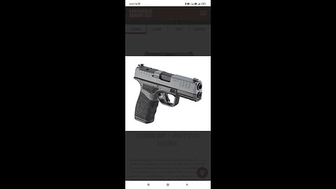 Springfeild Armory Hellcat Pro Platinum Gray