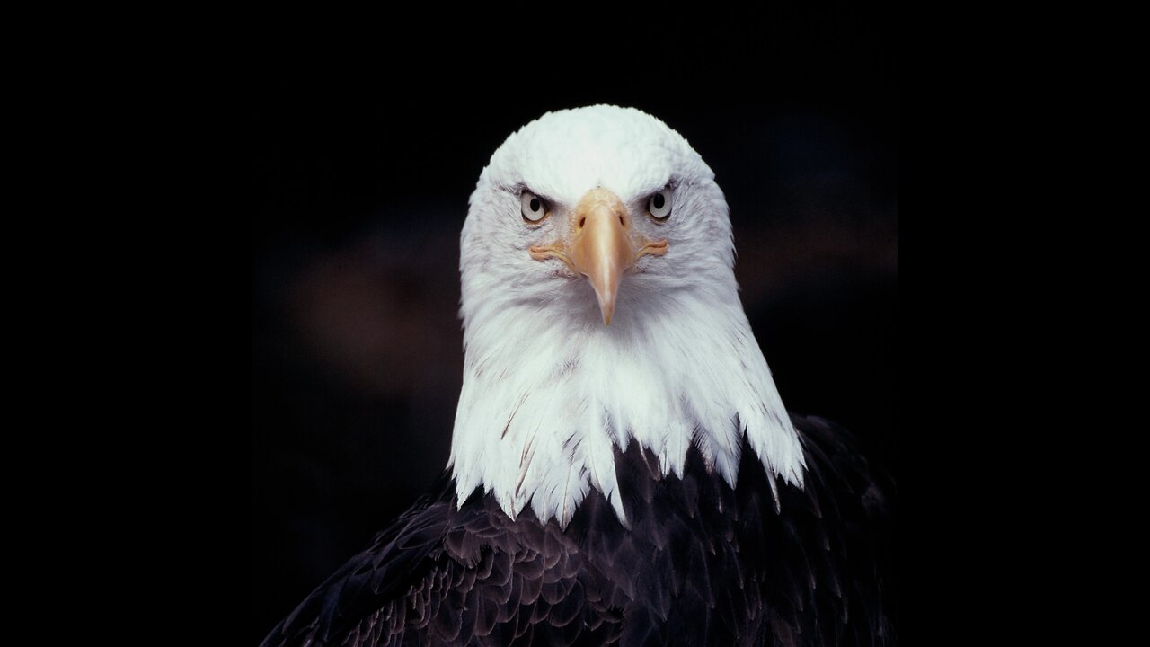 1/4 i knew it its news time its primetime