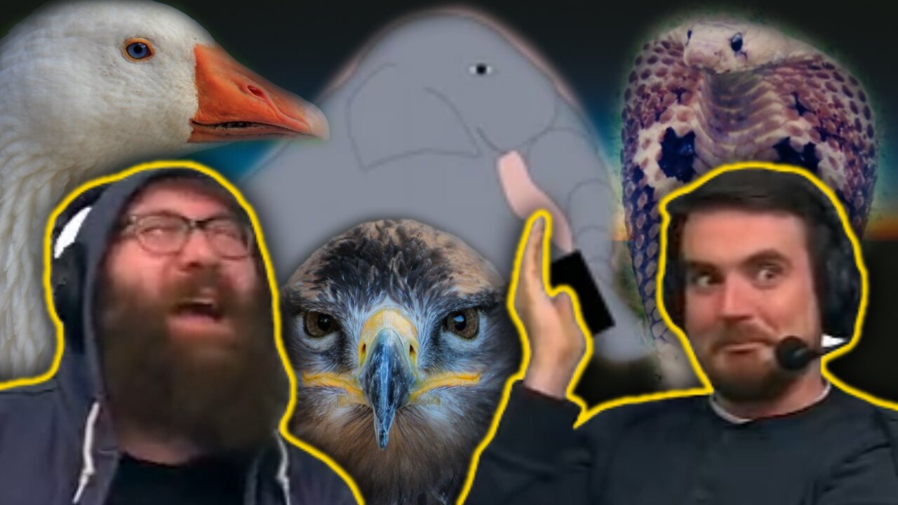 People think they can beat up animals - Tom and Ben