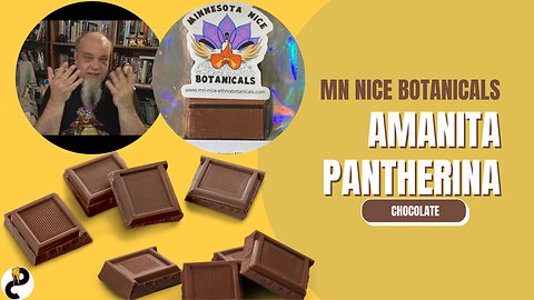 MN Nice Botanicals Amanita Pantherina chocolate