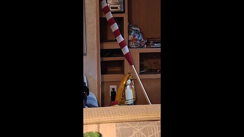 Iam on your side until your not