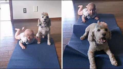 Baby and doggy have an adorable crawling race