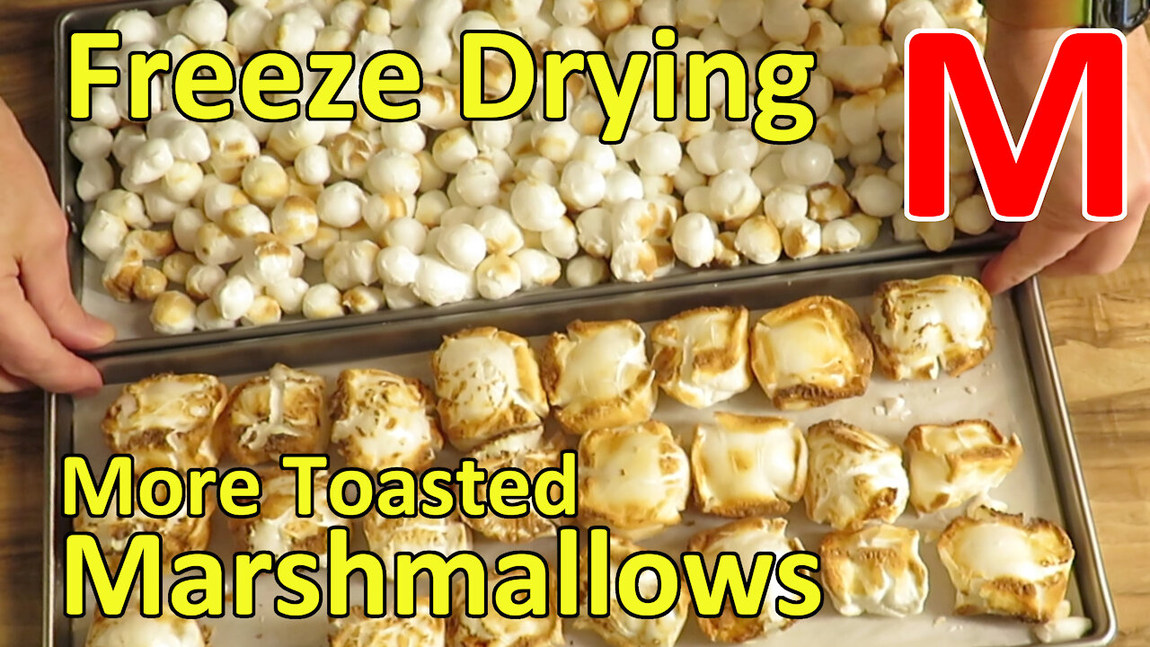 Freeze Drying Toasted Marshmallows 2