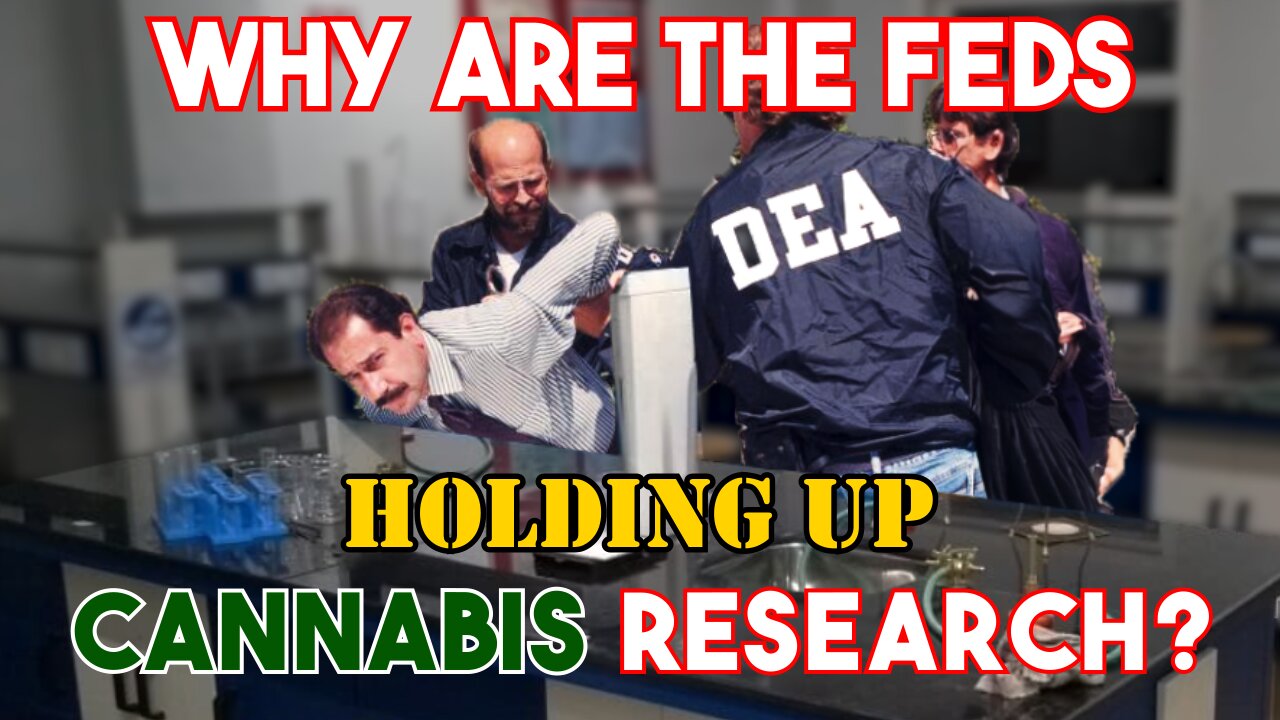 DEA Holding up Cannabis Research