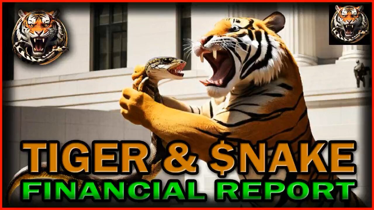 The Tiger and the Snake Financial report