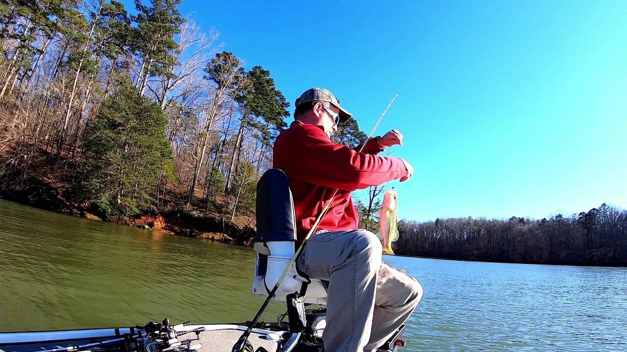 Lake Hartwell Fishing Report - March 2020