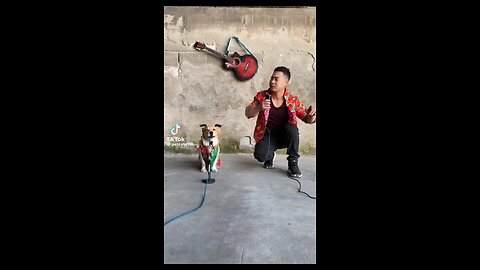 dog singing