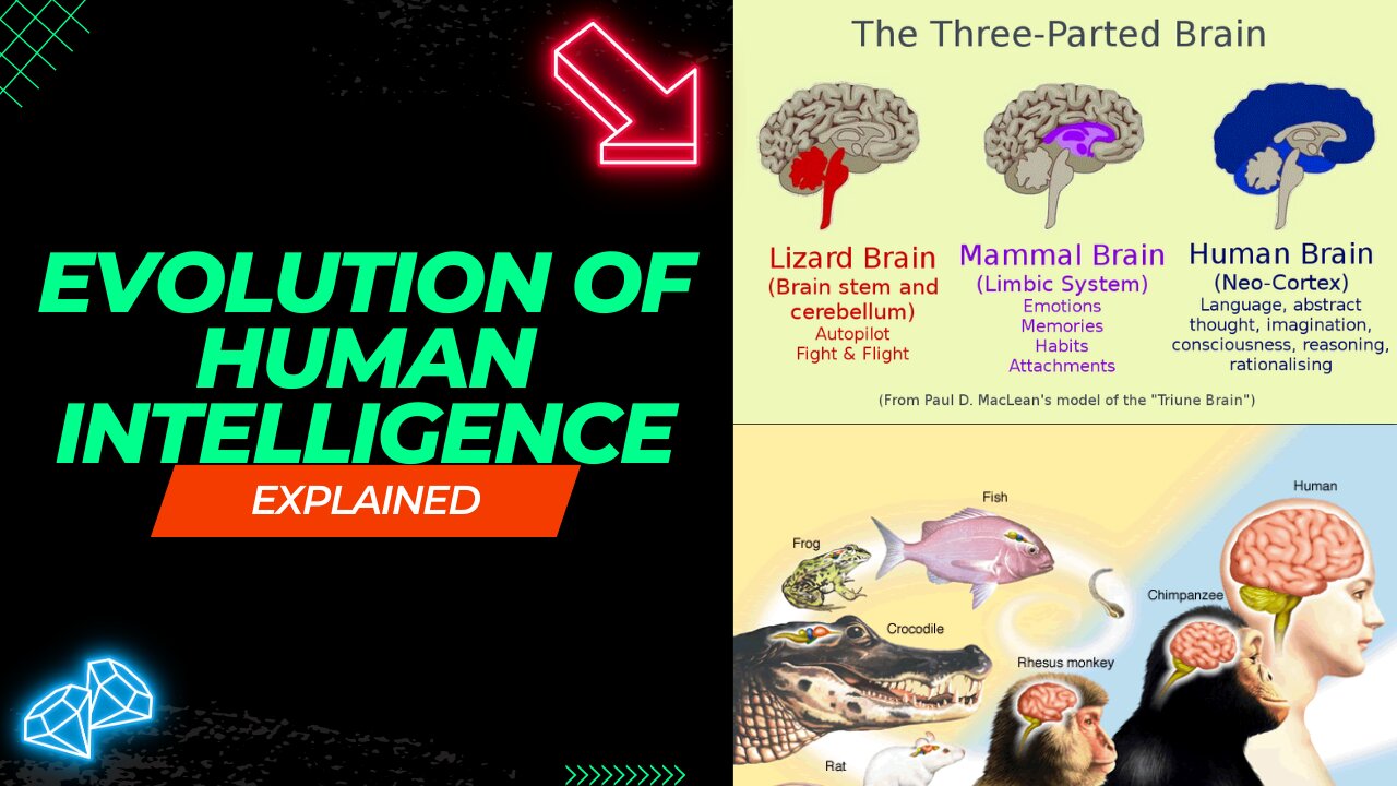 "The Triune Brain: Unveiling the Evolution of Human Intelligence"