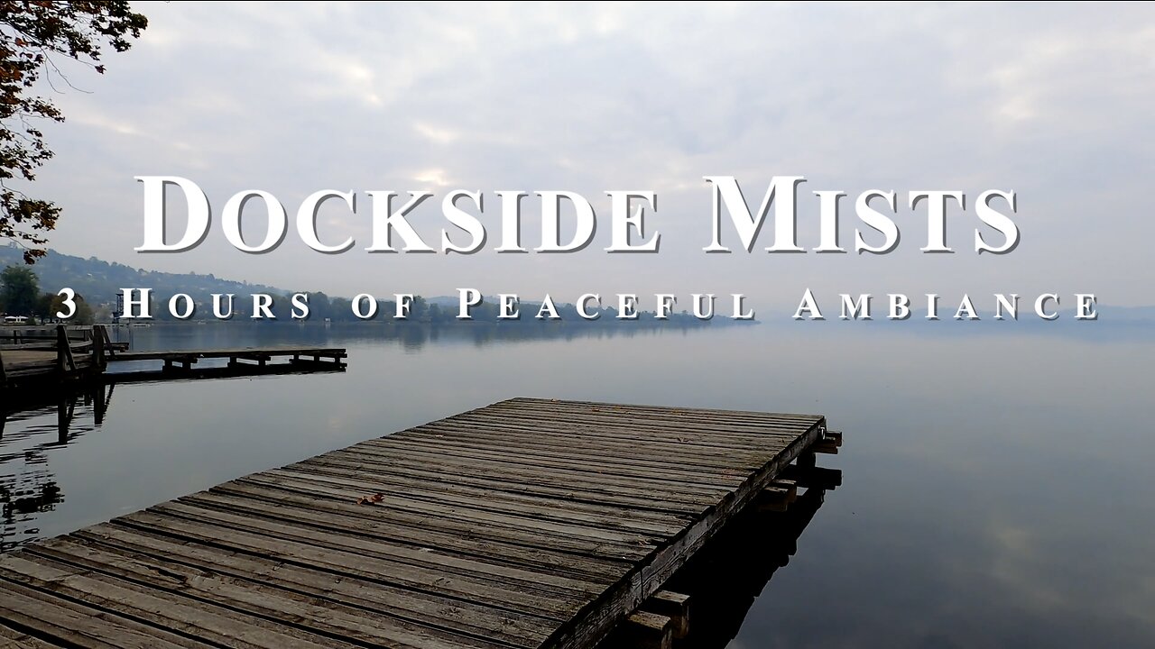 Misty Dock on a Lake | Serene Nature ASMR Video with Birds Chirping