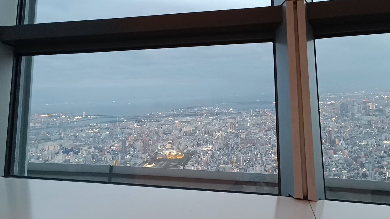 Tokyo Skytree overseeing Tokyo Part 2